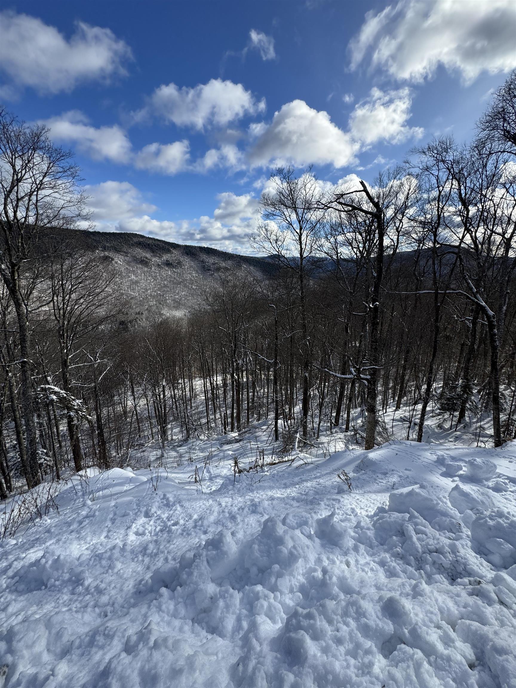 R-5 Ledge End Road 95