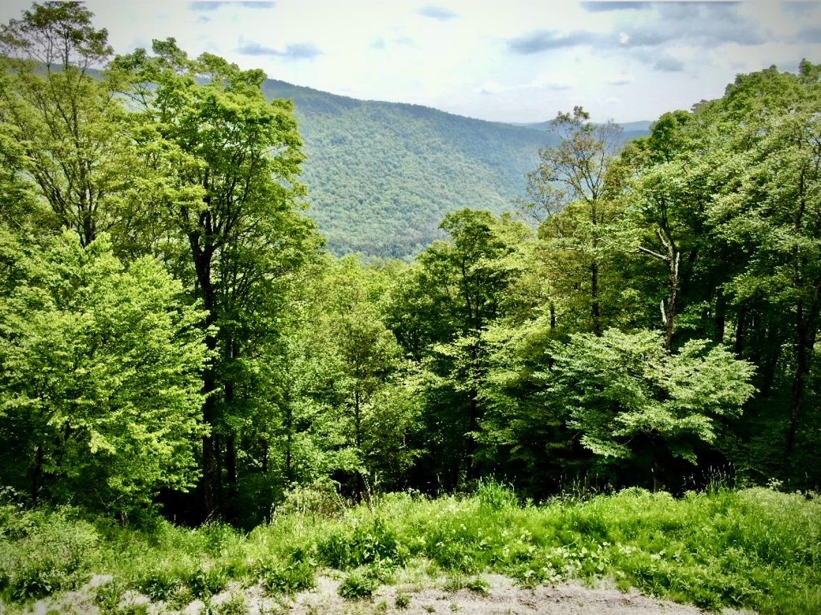 R-5 Ledge End Road 95