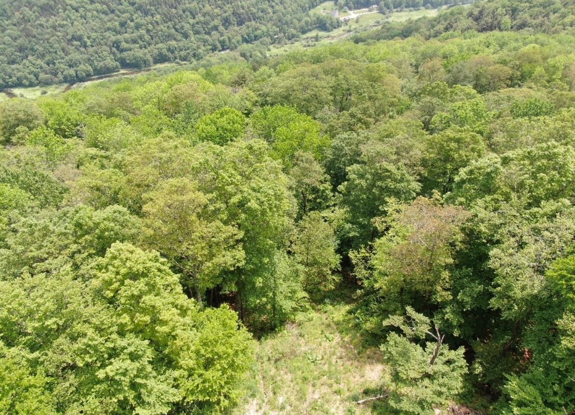 R-5 Ledge End Road 95