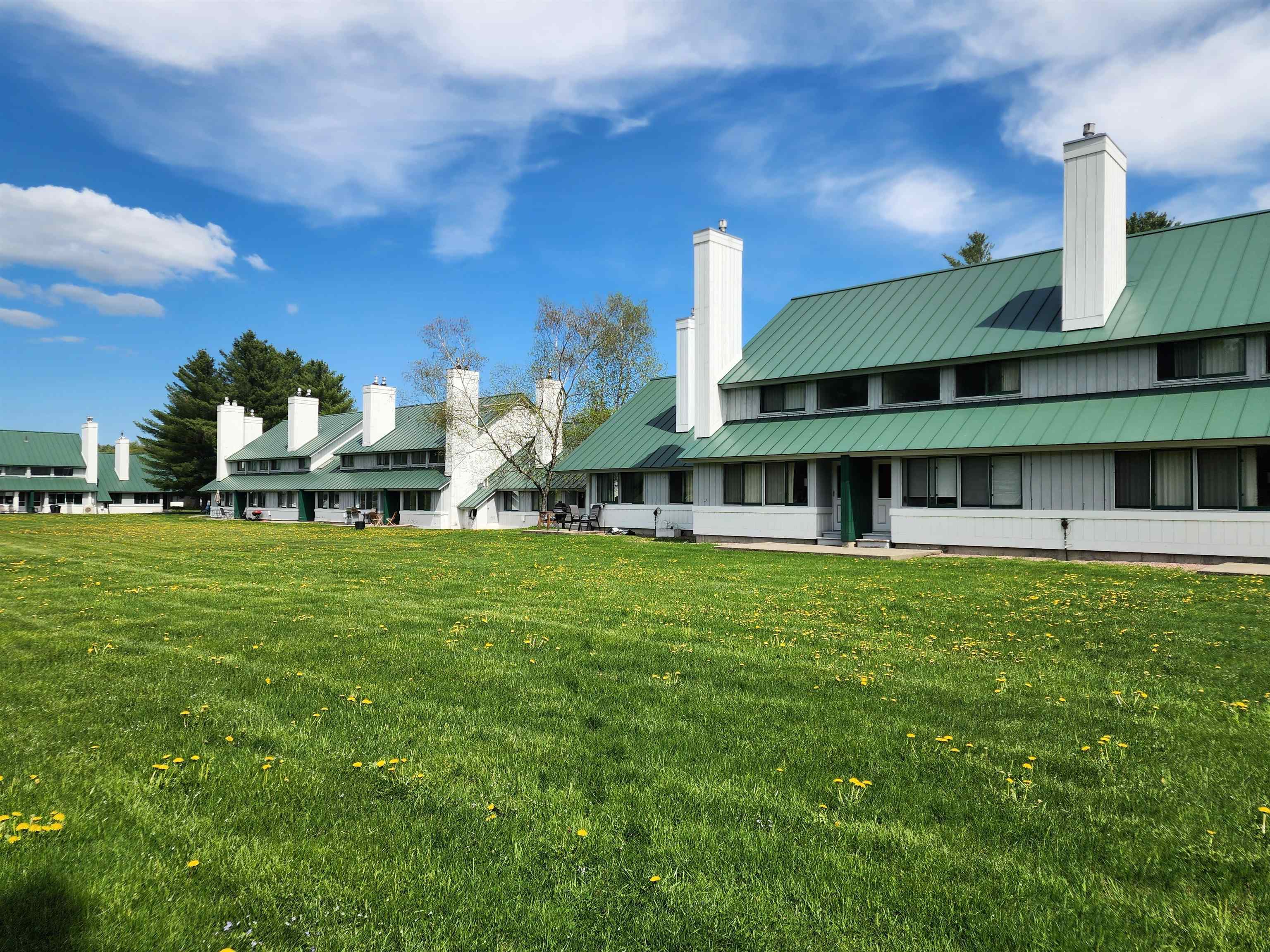 131 Village Green Drive 5E
