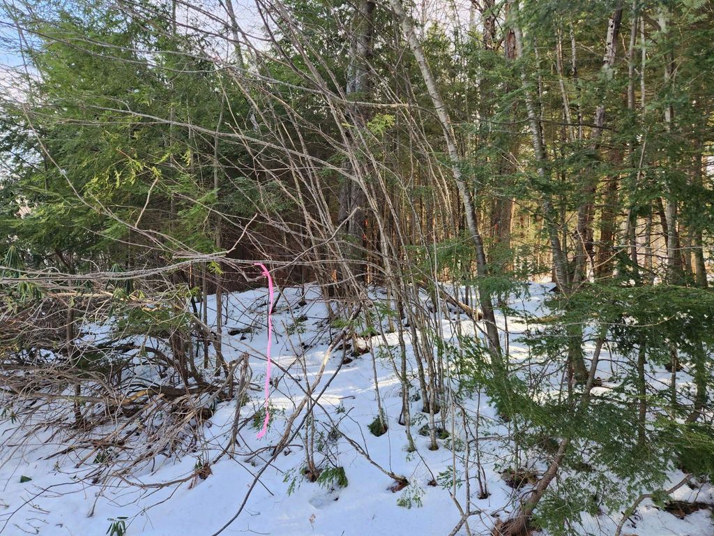 Photo of 0 Munsey Road #123-10-6, Gilmanton, NH 03237 (MLS # 5073822)
