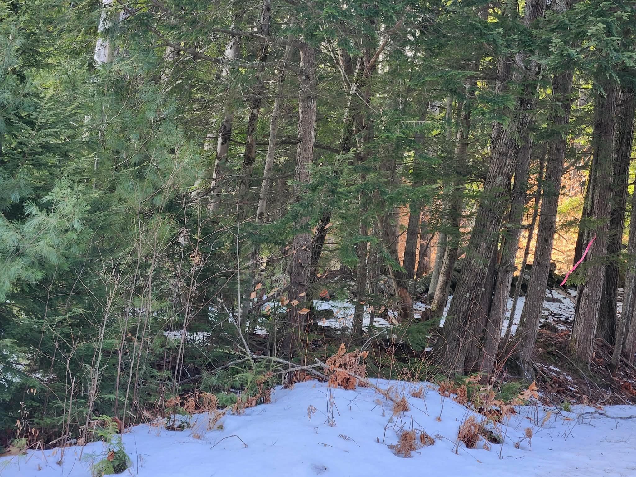 0 Munsey Road 123-10-6