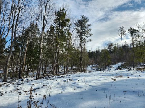 0 Munsey Road 123-10-6 Gilmanton NH 03237