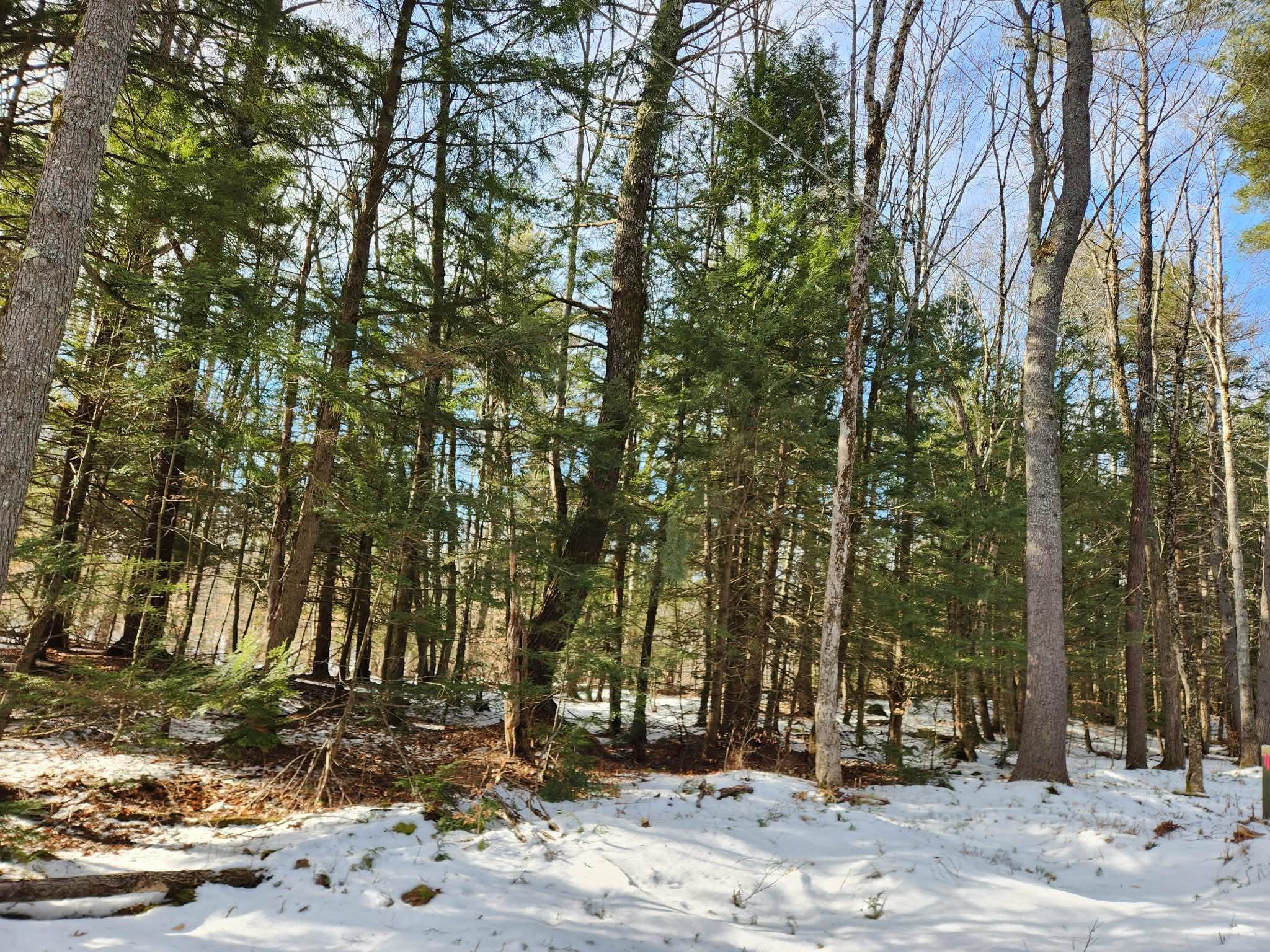 0 Munsey Road 123-10-6