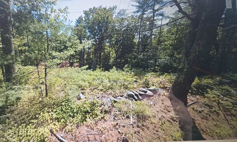 Photo of 209 Fremont Road, Sandown, NH 03873 (MLS # 5049393)