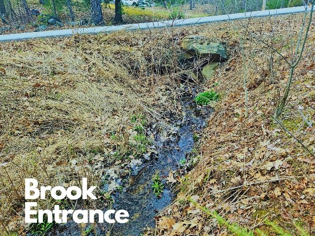 397 Shackford Corner Road