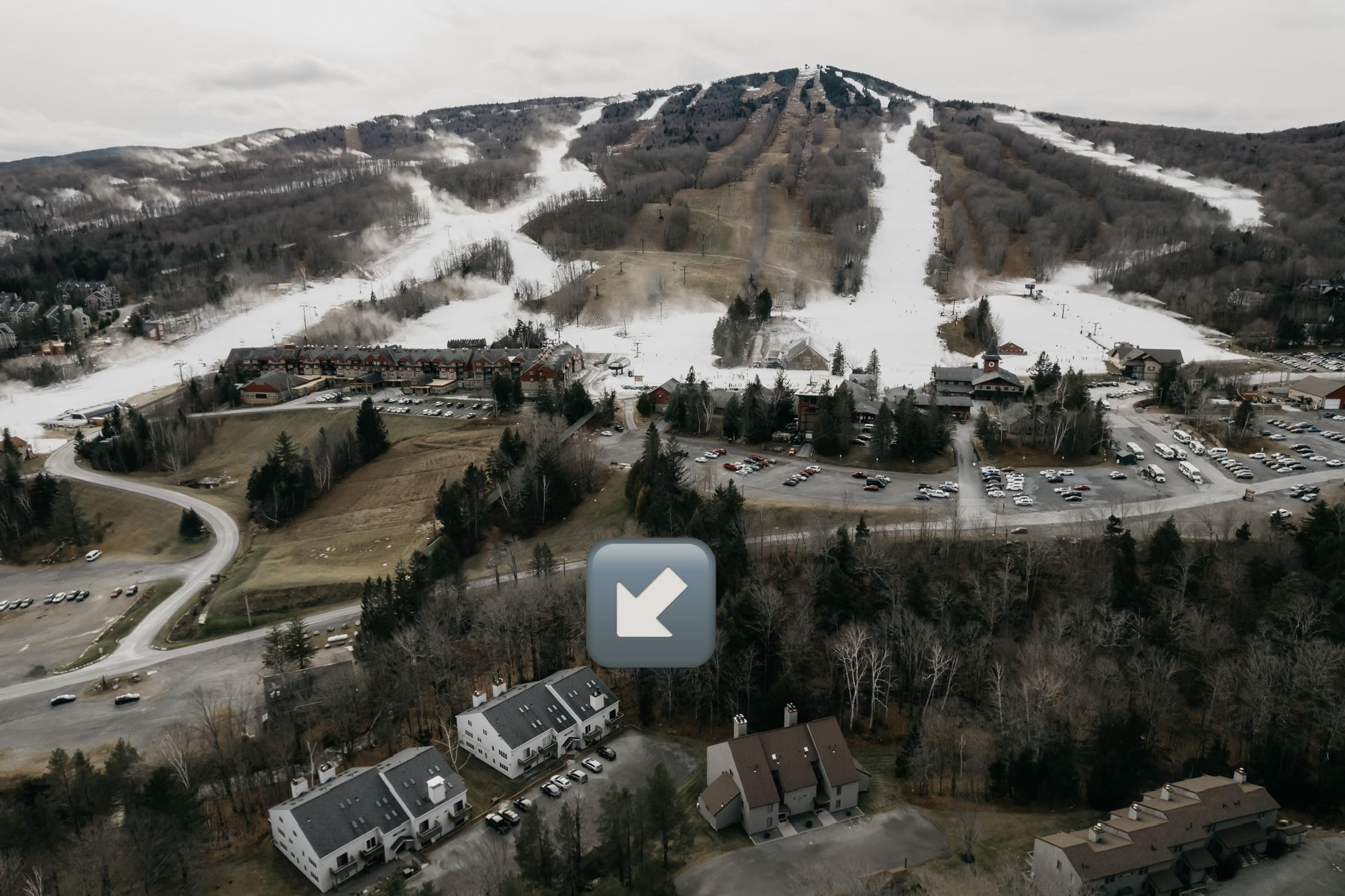 11C Snow Tree Lane Birches 11C