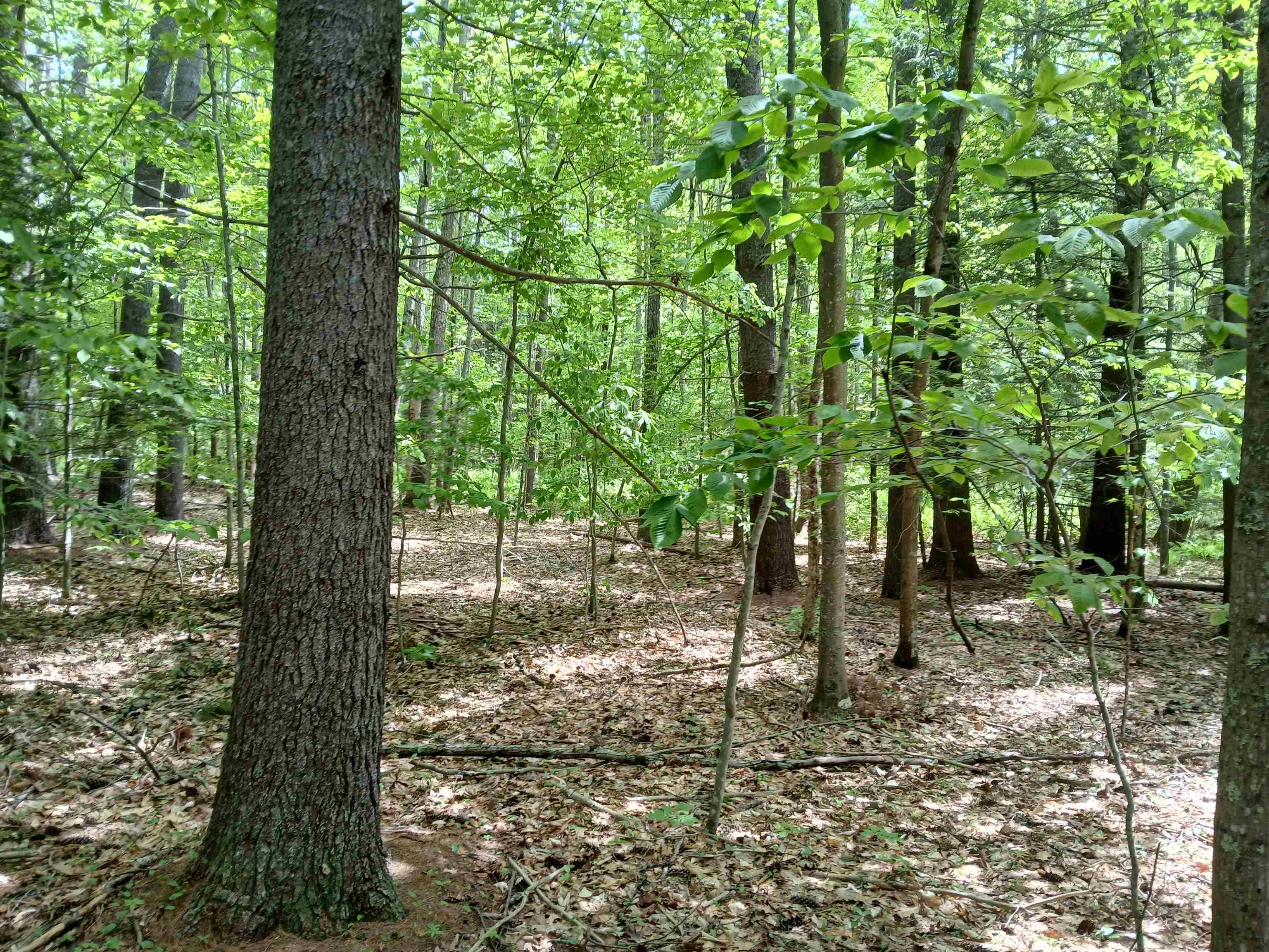 054-002-005 Middle Road