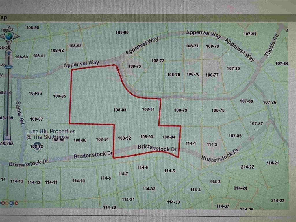 Photo of 52 Appenvel Way, Madison, NH 03849 (MLS # 5021676)