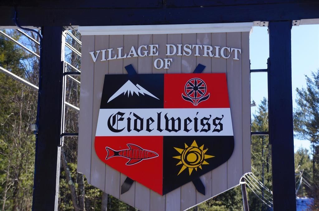 Photo of 52 Appenvel Way, Madison, NH 03849 (MLS # 5021676)