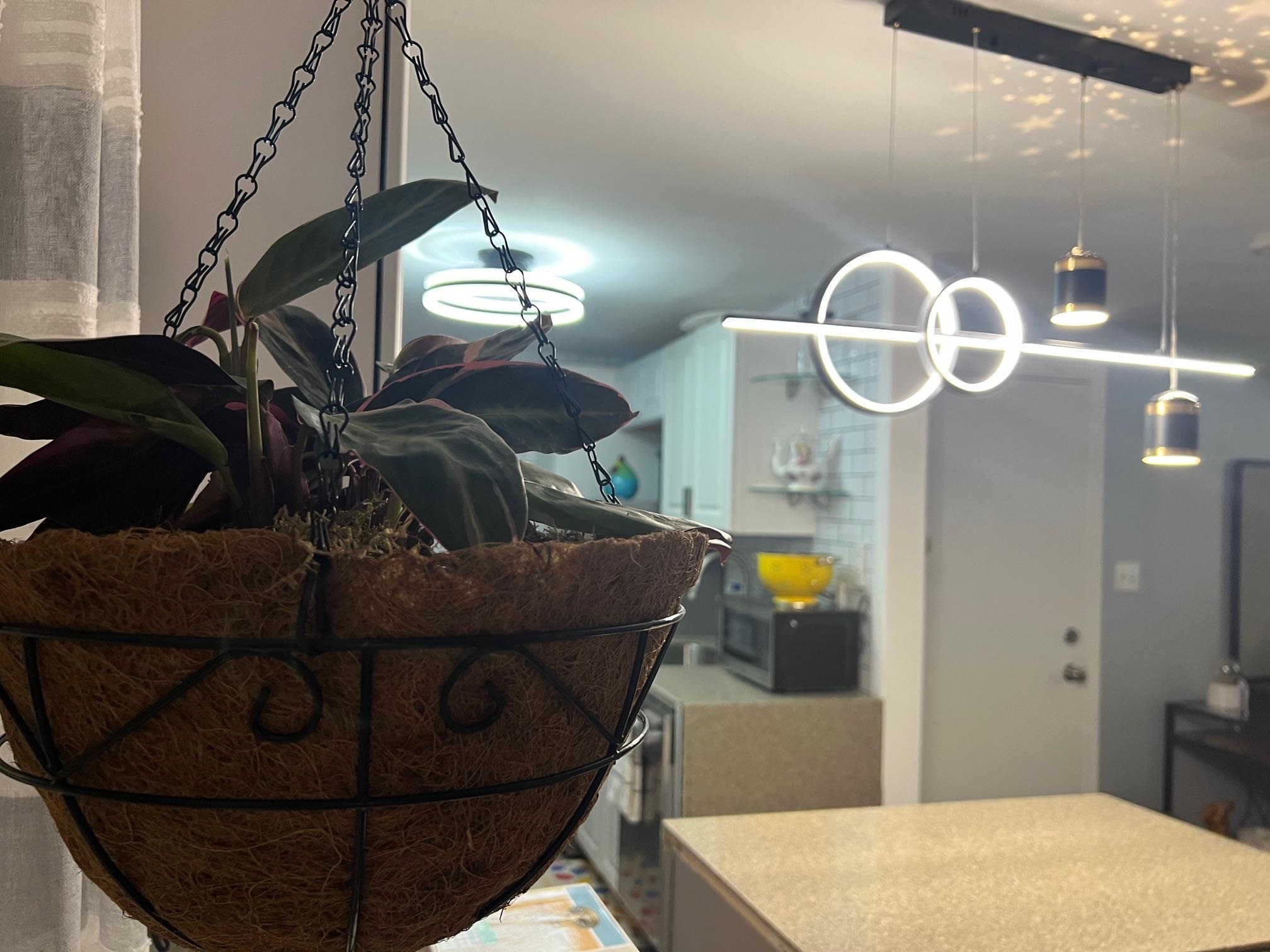 Manchester, New Hampshire 03104, United States, 4 Bedrooms Bedrooms, ,3 BathroomsBathrooms,Residential,Active,120773