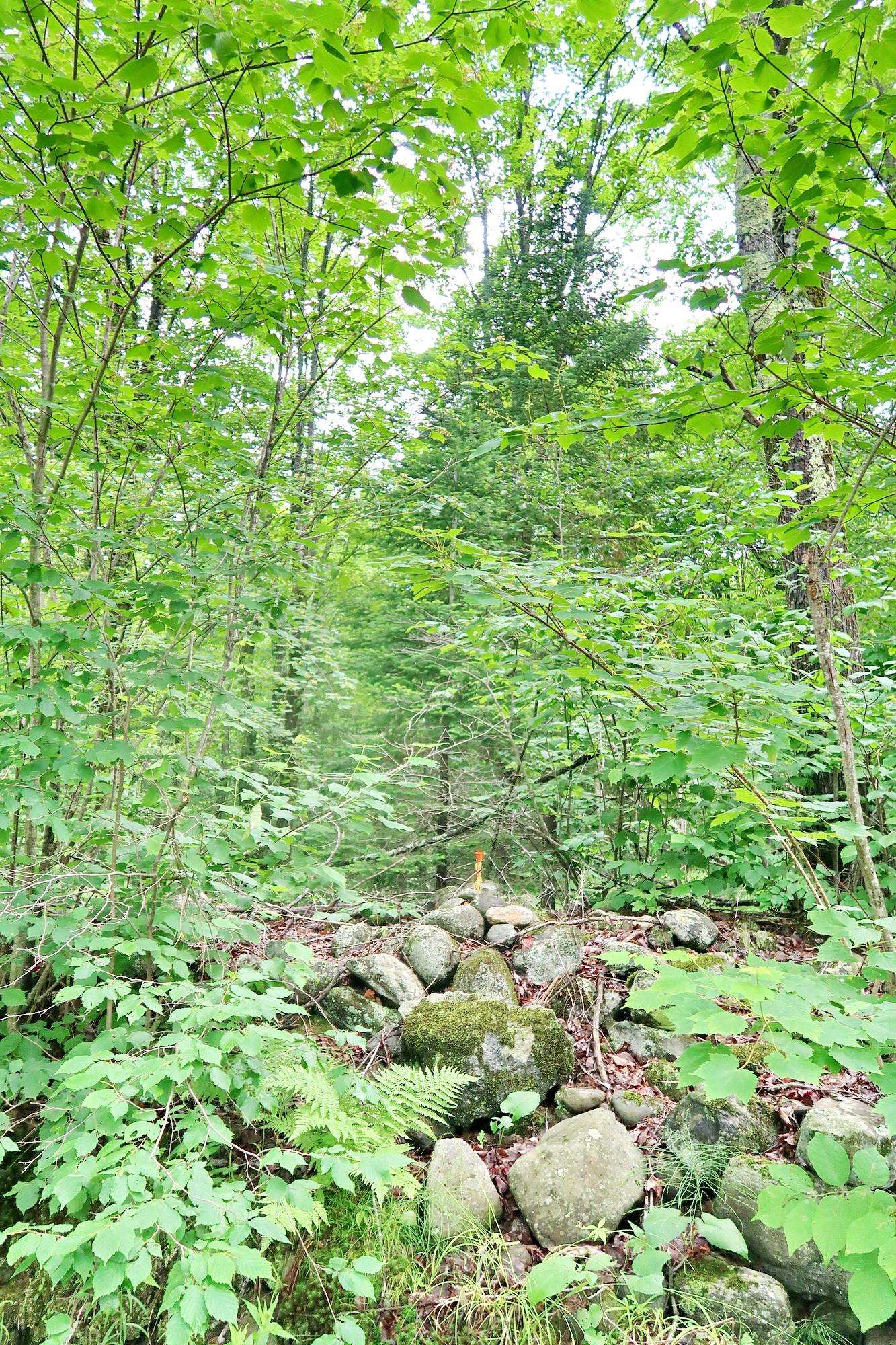 TBD Easton Road