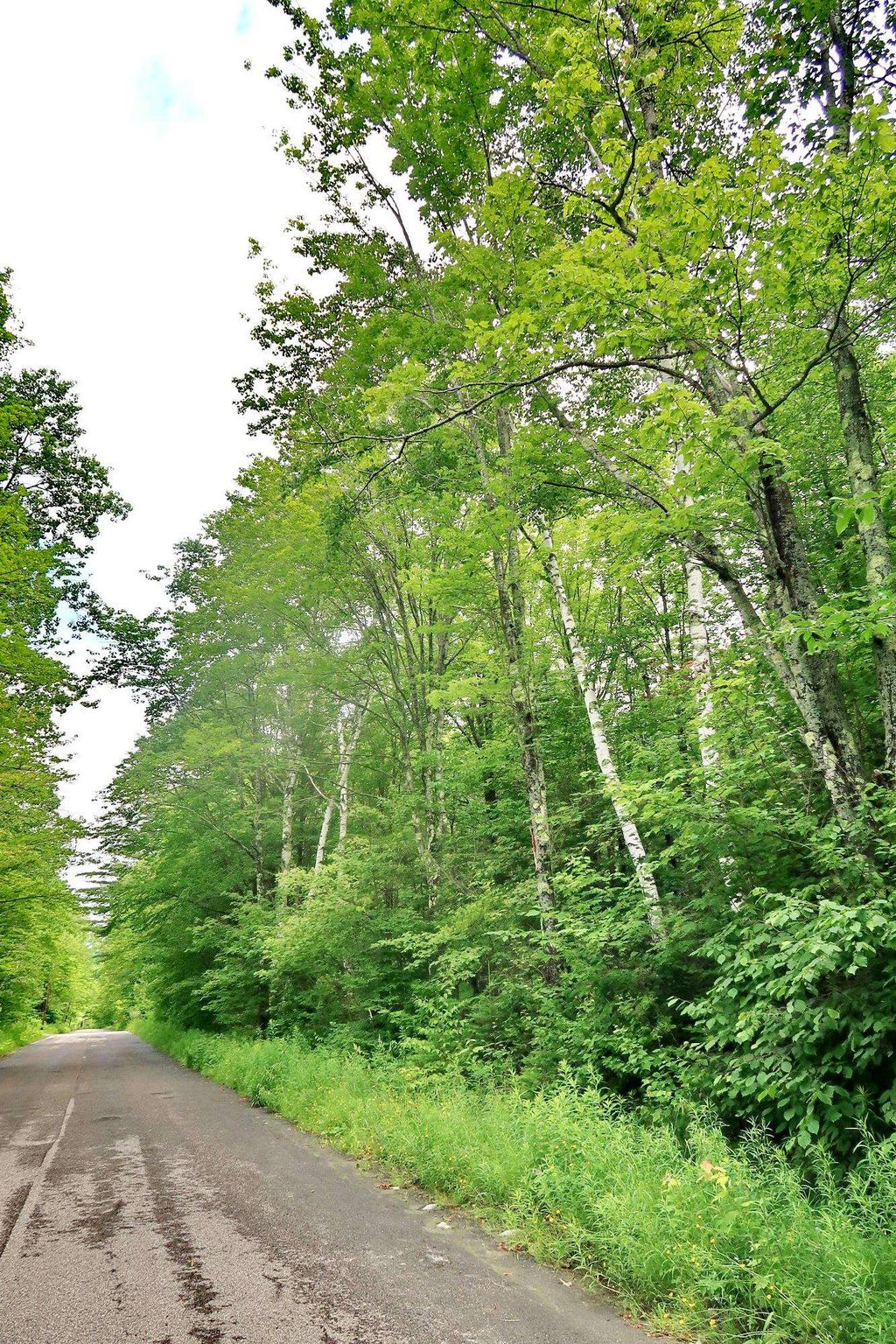 Photo of TBD Easton Road, Sugar Hill, NH 03586 (MLS # 4959529)
