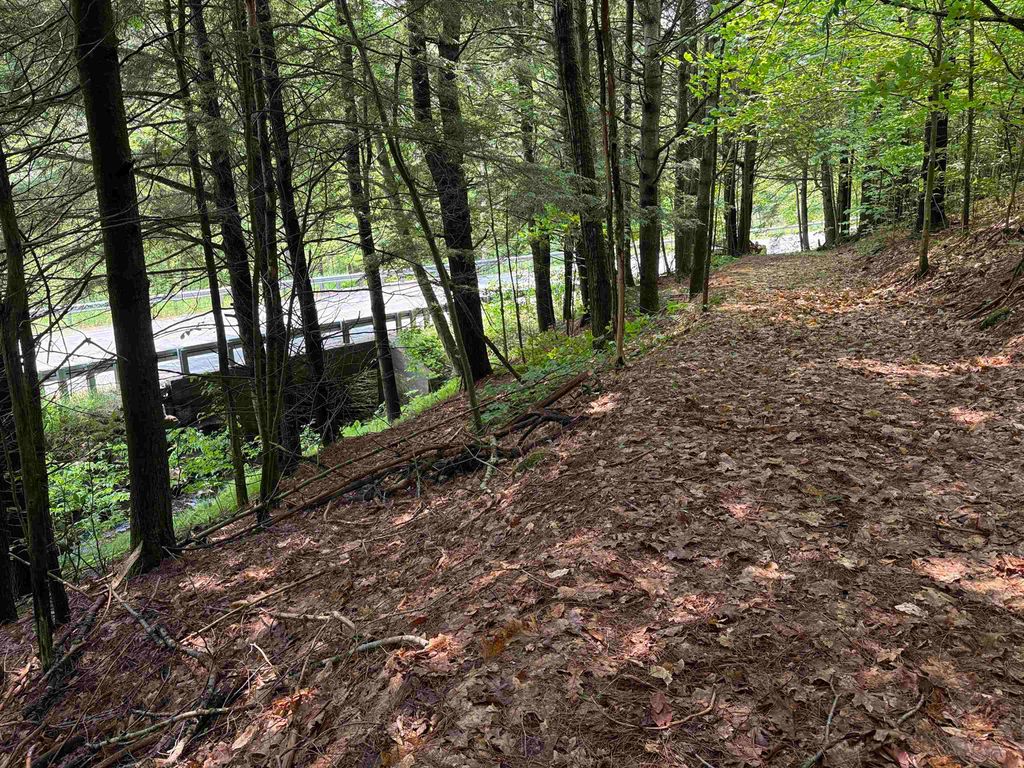 Photo of 0 New Hampshire Route 120, Cornish, NH 03745 (MLS # 5045664)