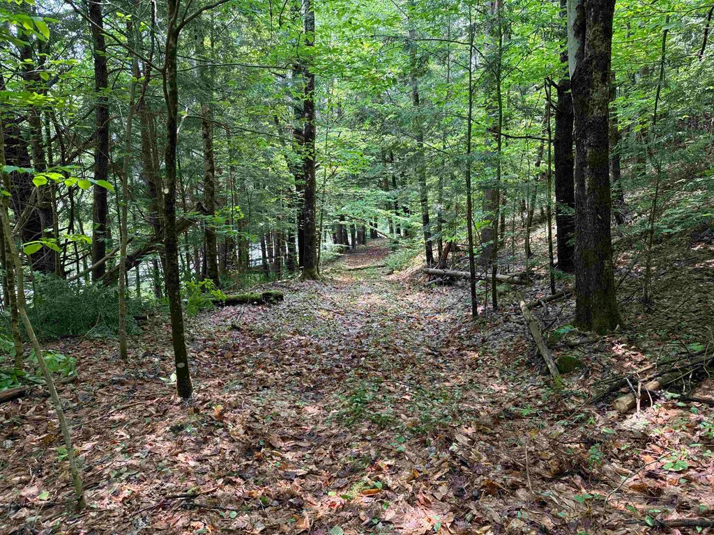 Photo of 0 New Hampshire Route 120, Cornish, NH 03745 (MLS # 5045664)