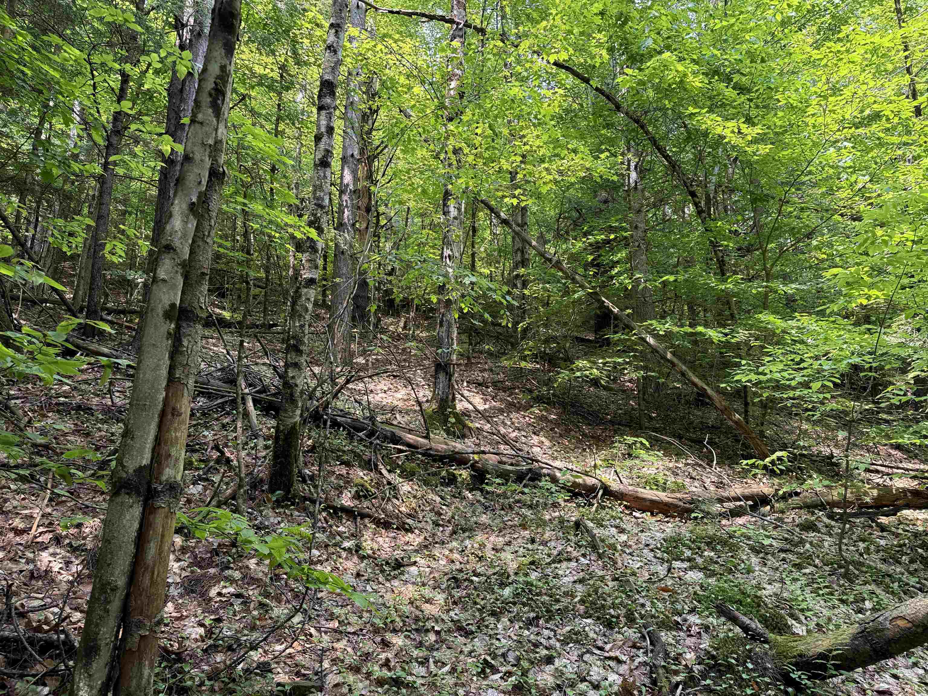 0 New Hampshire Route 120