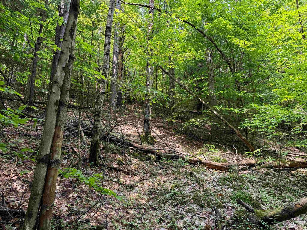 Photo of 0 New Hampshire Route 120, Cornish, NH 03745 (MLS # 5045664)