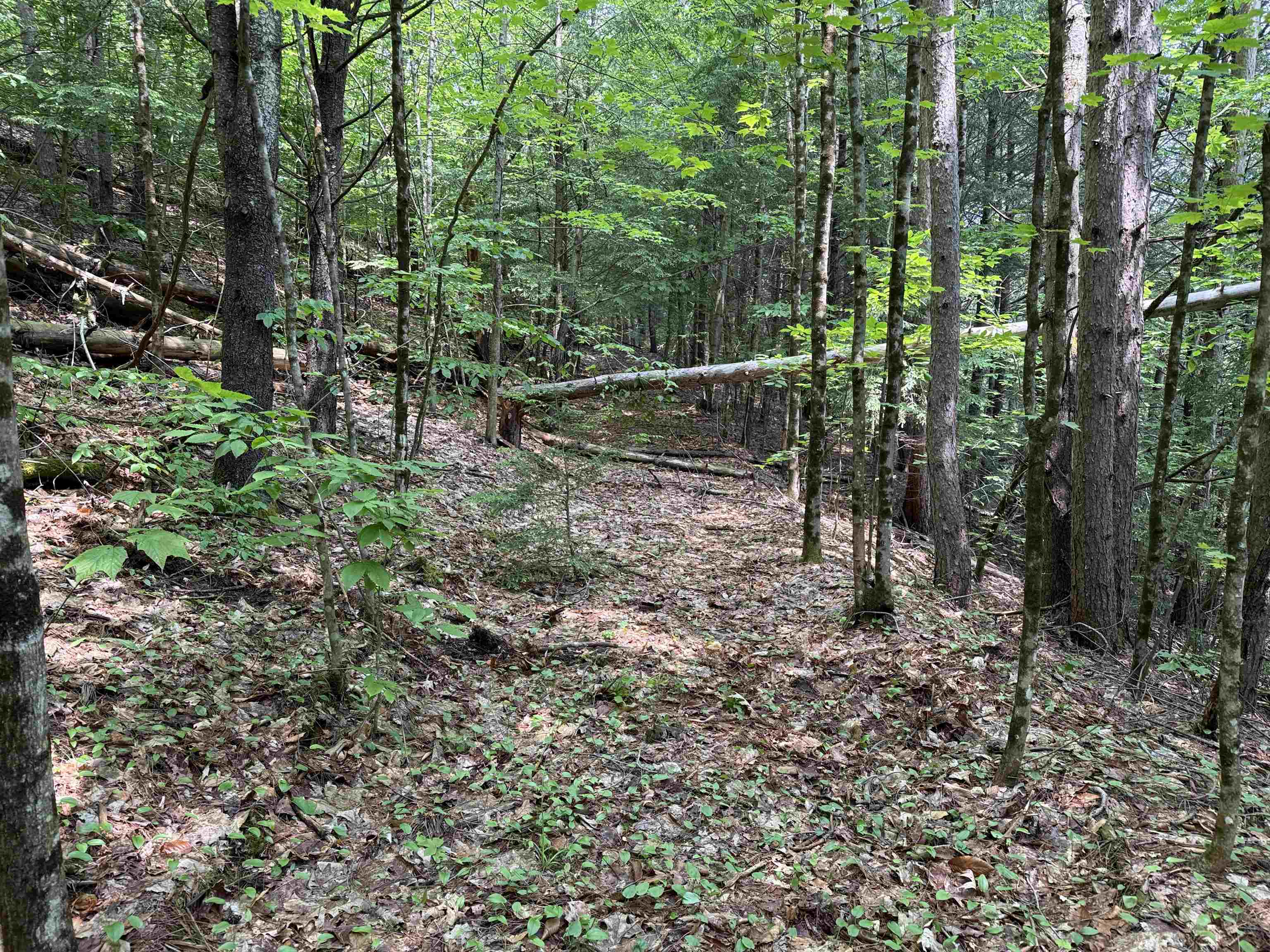 0 New Hampshire Route 120