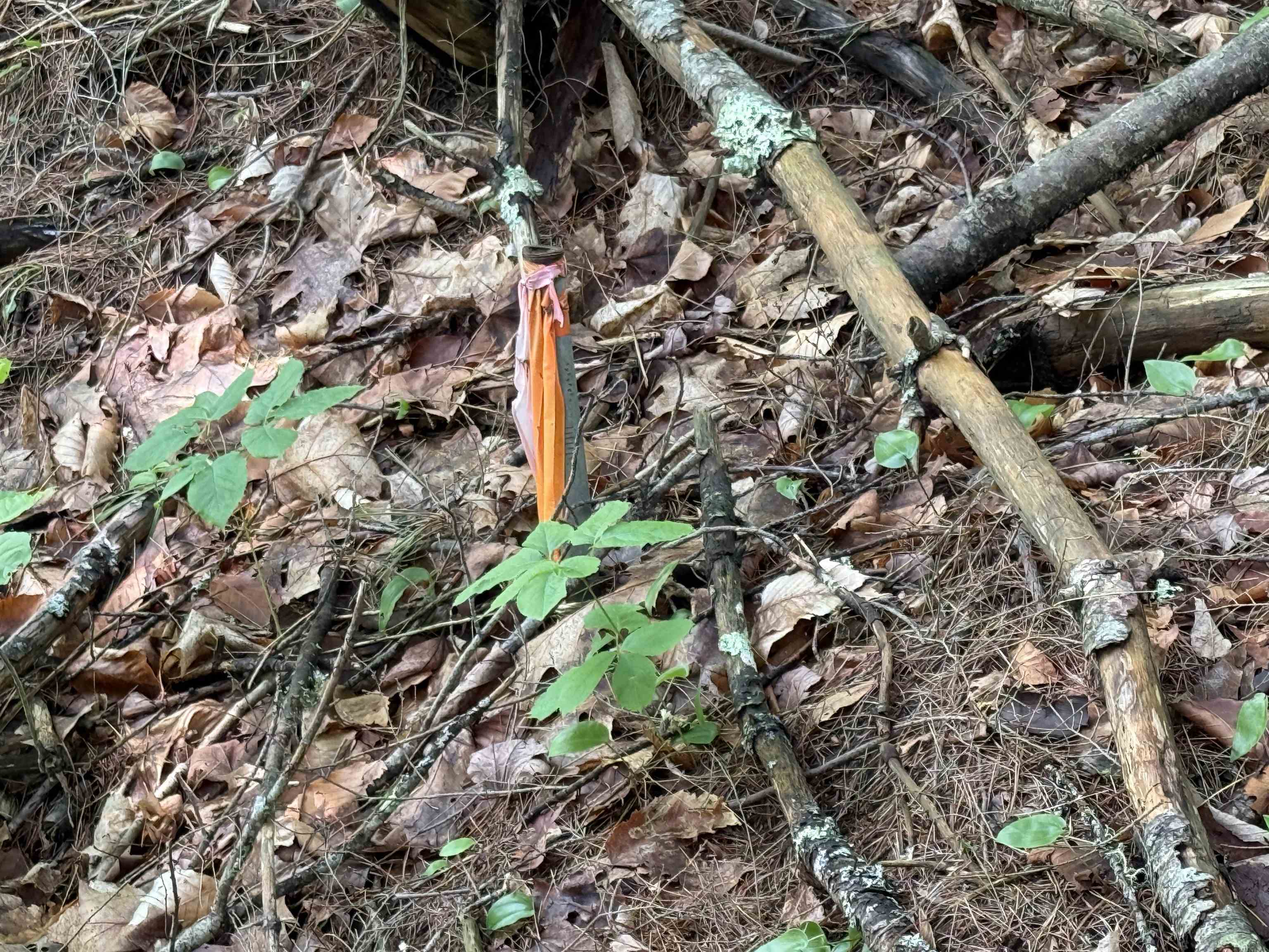 0 New Hampshire Route 120