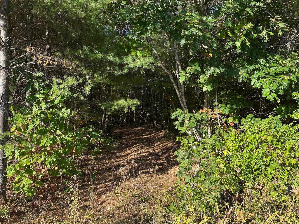 Photo of 19 Sunrise Hill Road, Thornton, NH 03285 (MLS # 5089346)