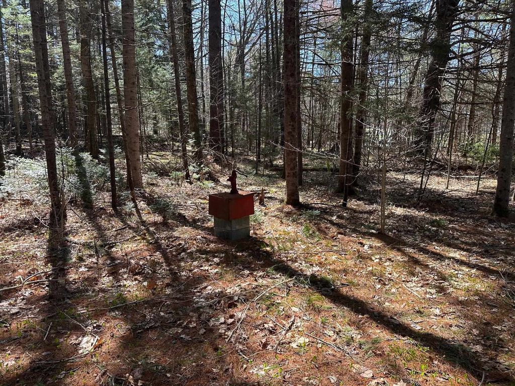 Photo of 19 Sunrise Hill Road, Thornton, NH 03285 (MLS # 5089346)