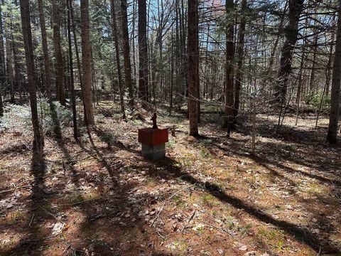 Photo of 19 Sunrise Hill Road, Thornton, NH 03285 (MLS # 5089346)