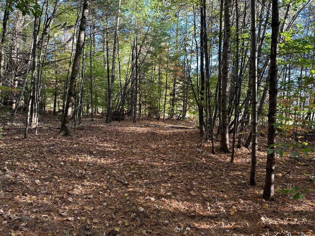 Photo of 19 Sunrise Hill Road, Thornton, NH 03285 (MLS # 5089346)