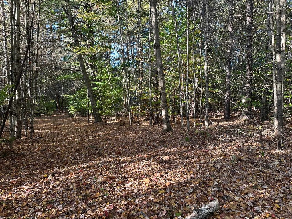 Photo of 19 Sunrise Hill Road, Thornton, NH 03285 (MLS # 5089346)