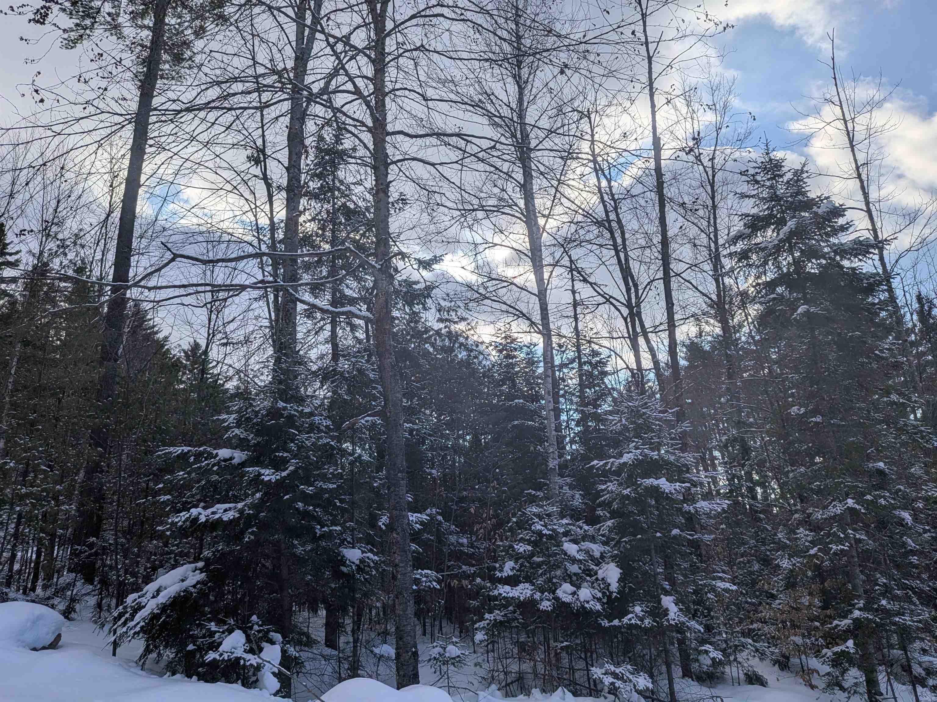 111 Swiftwater Circle