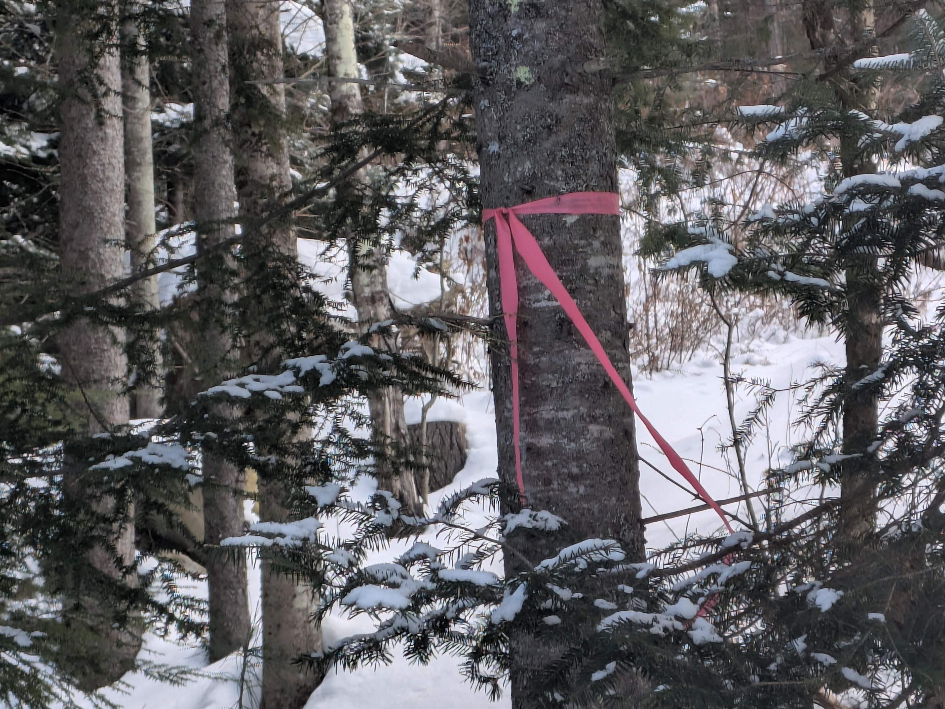 111 Swiftwater Circle