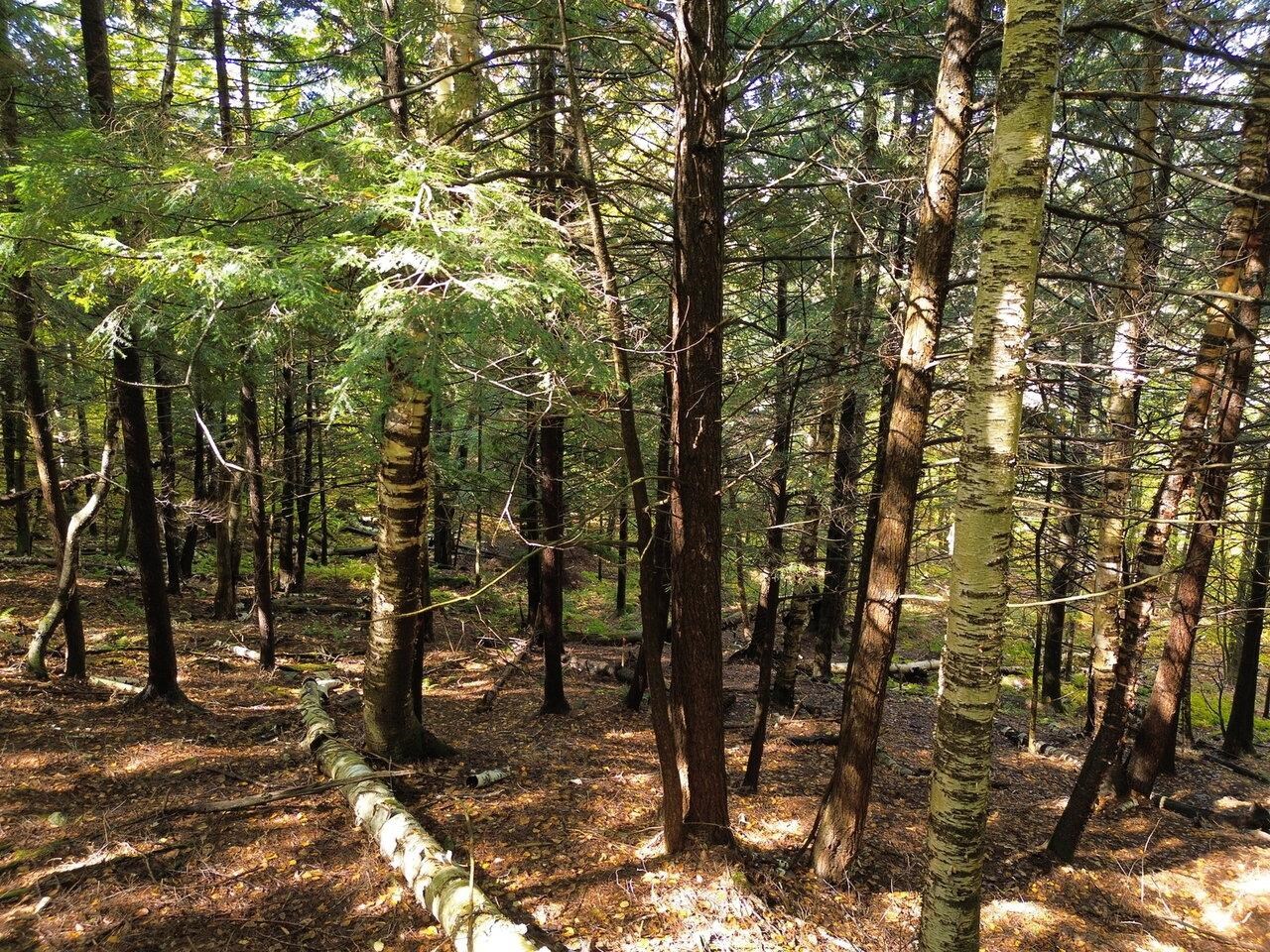 350 Anne Burns Road 19 & 20