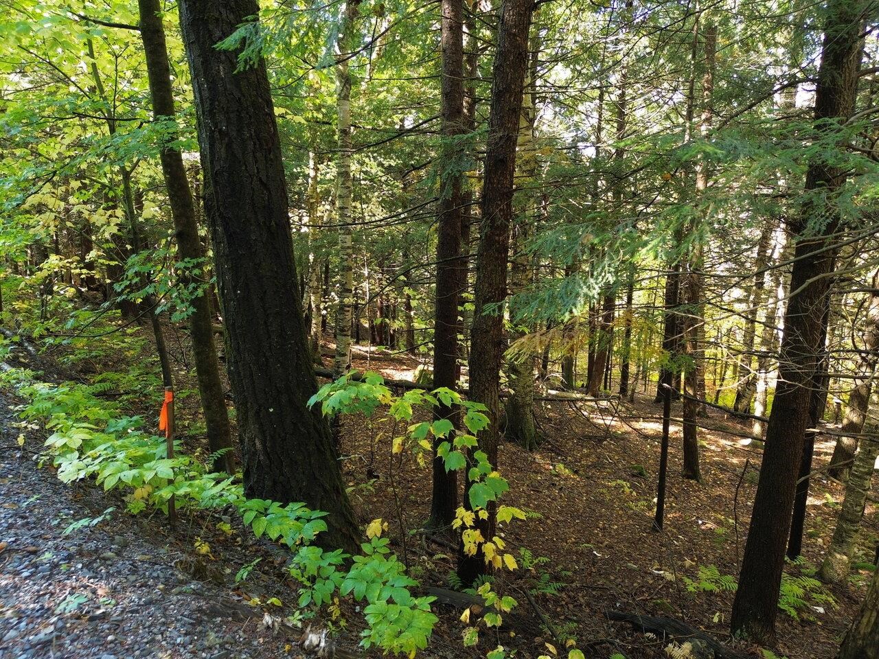 350 Anne Burns Road 19 & 20