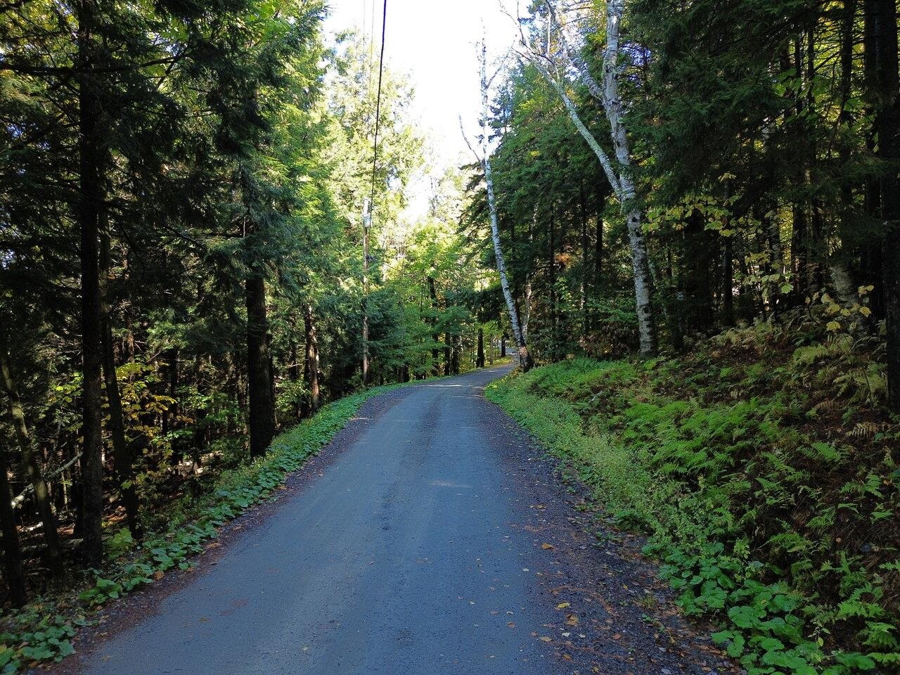 350 Anne Burns Road 19 & 20