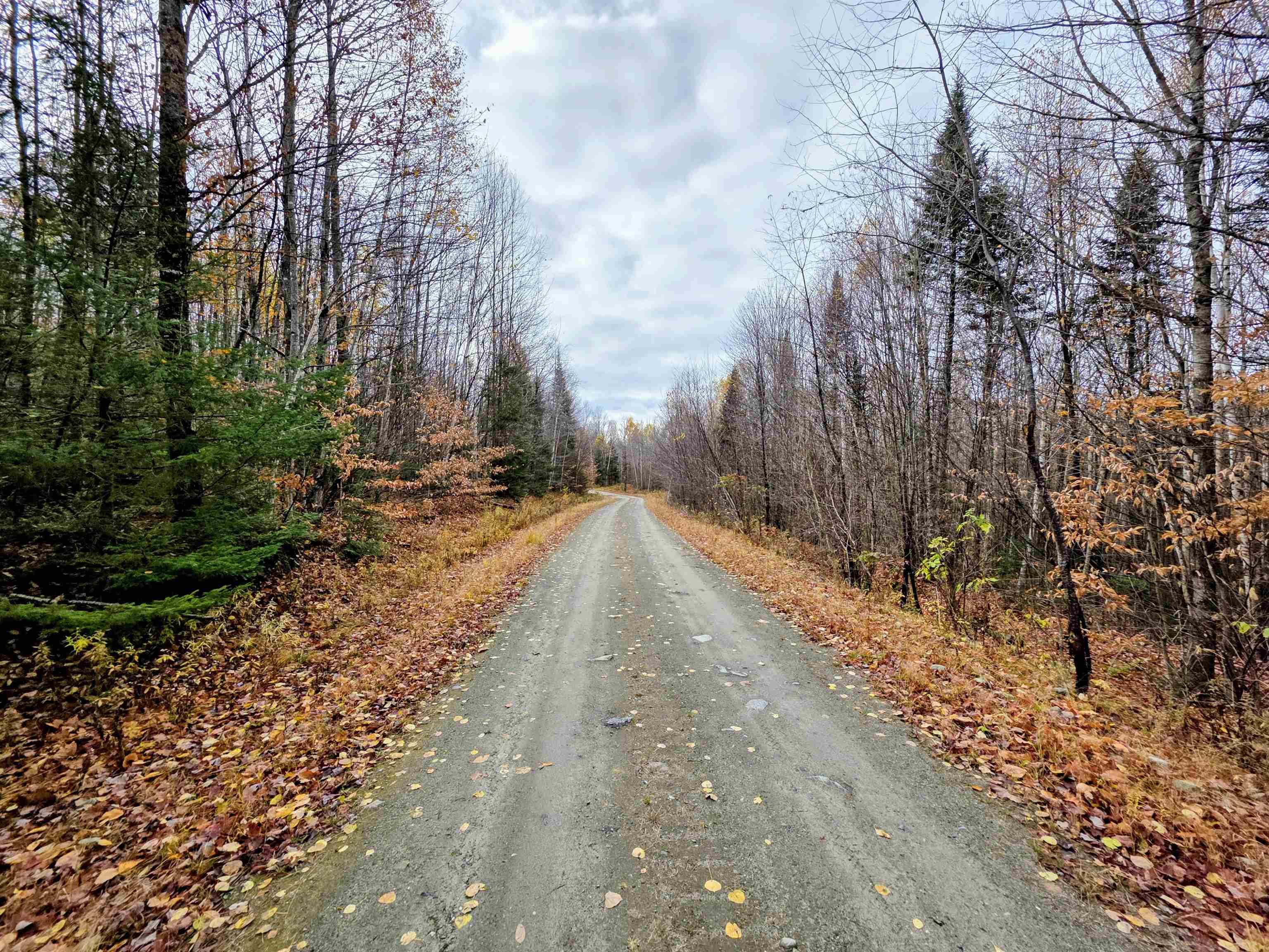 Columbia, New Hampshire 03590, United States, ,Land,Active,234585