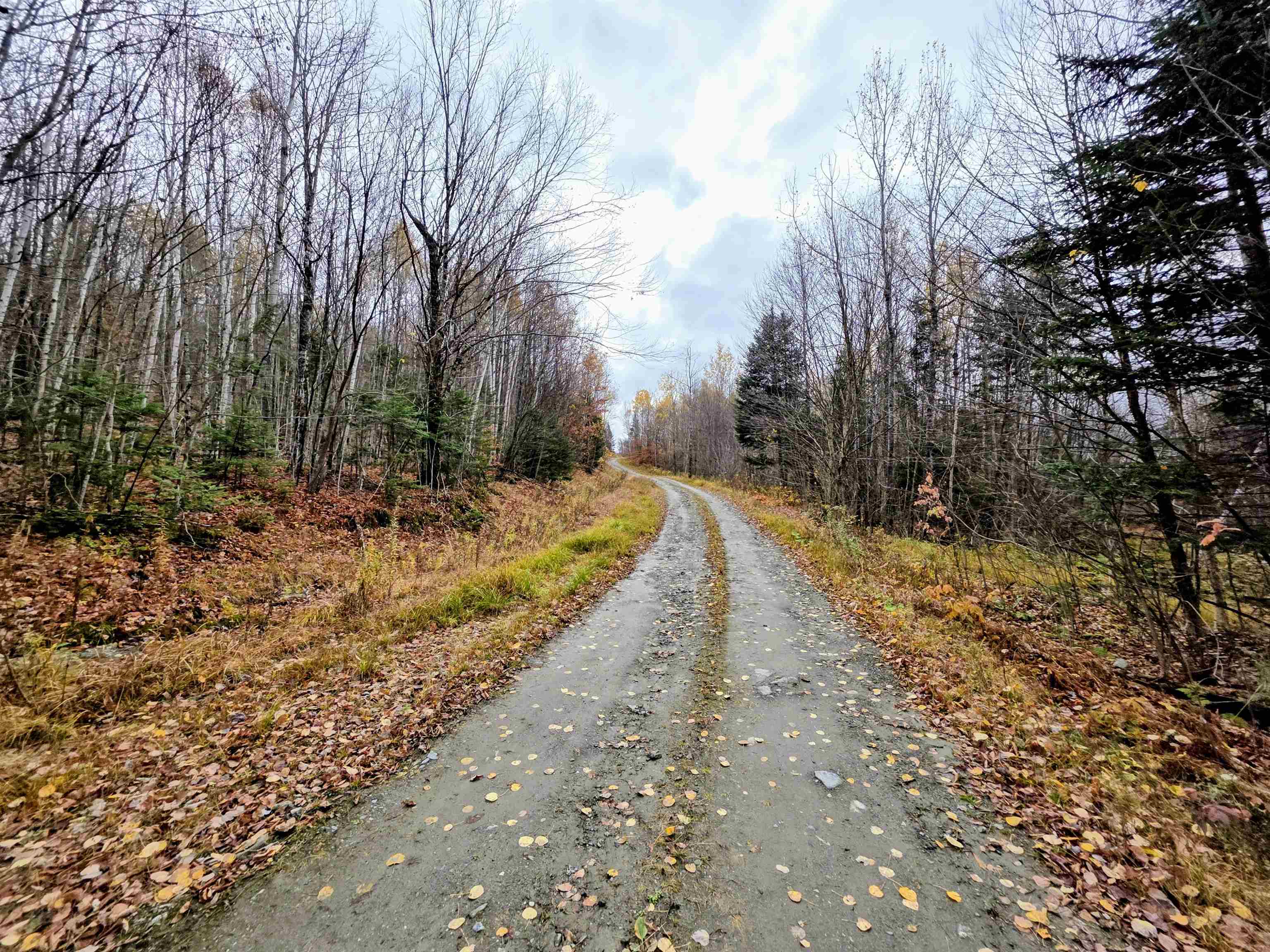 Columbia, New Hampshire 03590, United States, ,Land,Active,234585