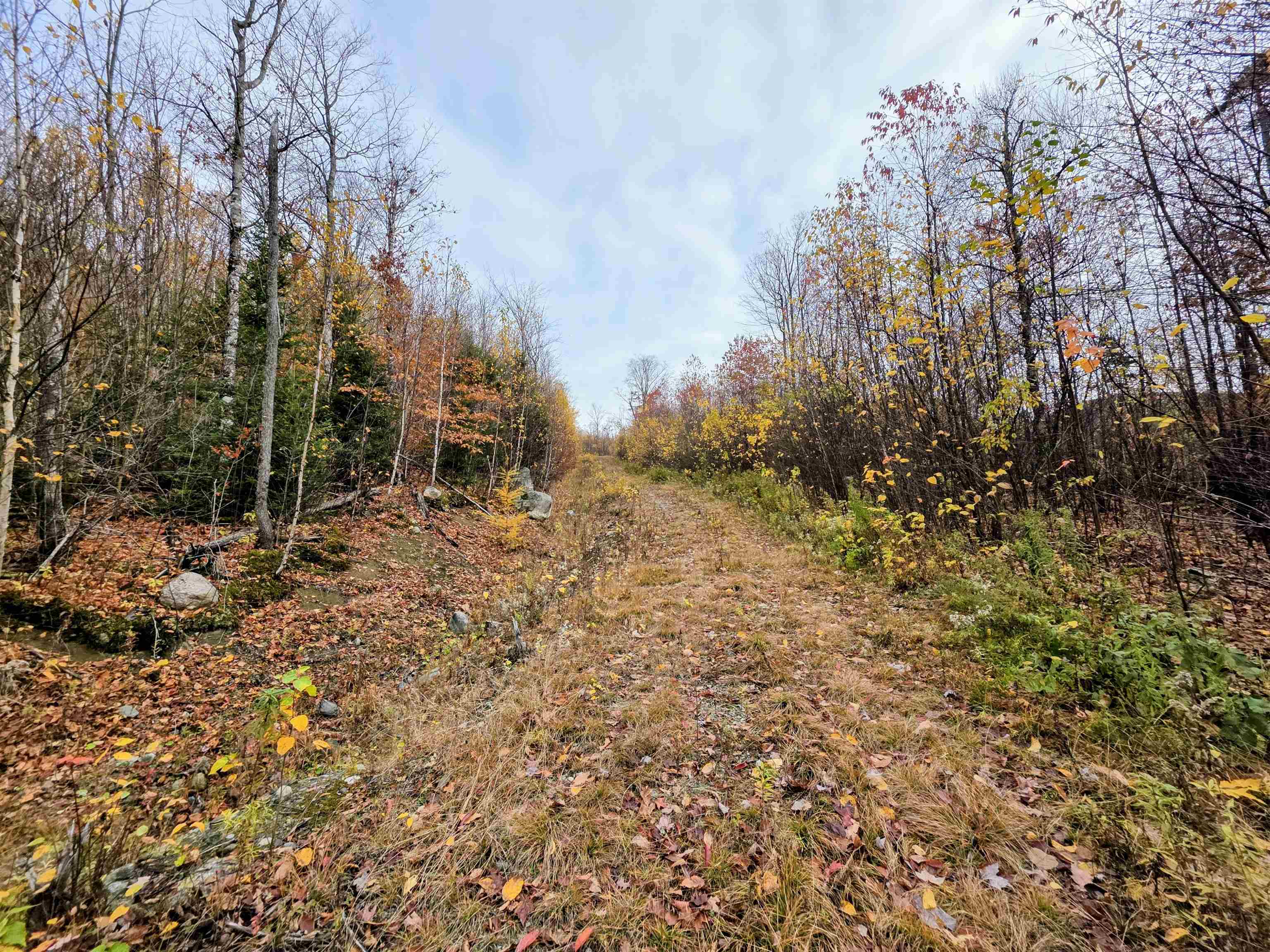 Columbia, New Hampshire 03590, United States, ,Land,Active,234585