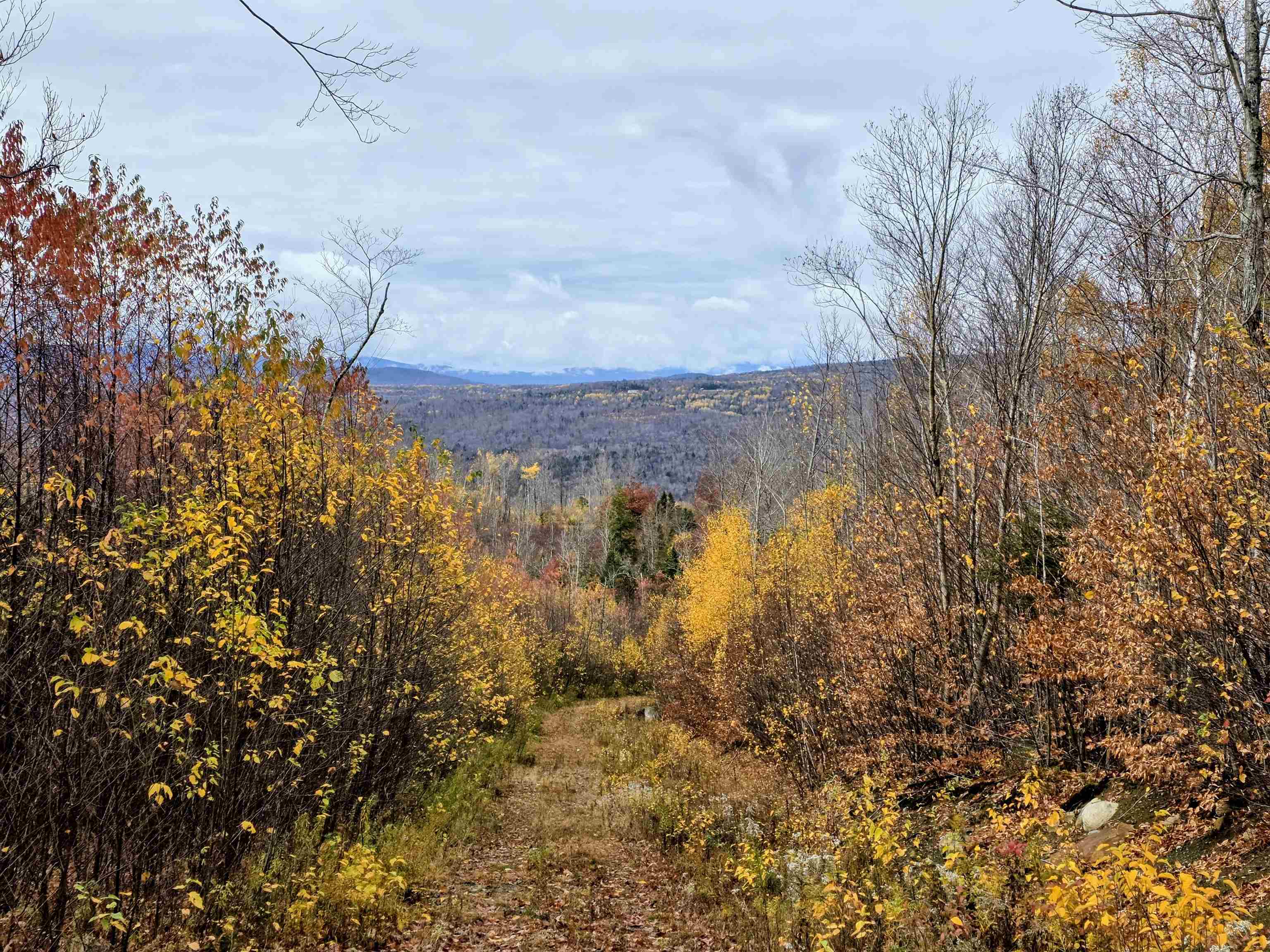 Columbia, New Hampshire 03590, United States, ,Land,Active,234585