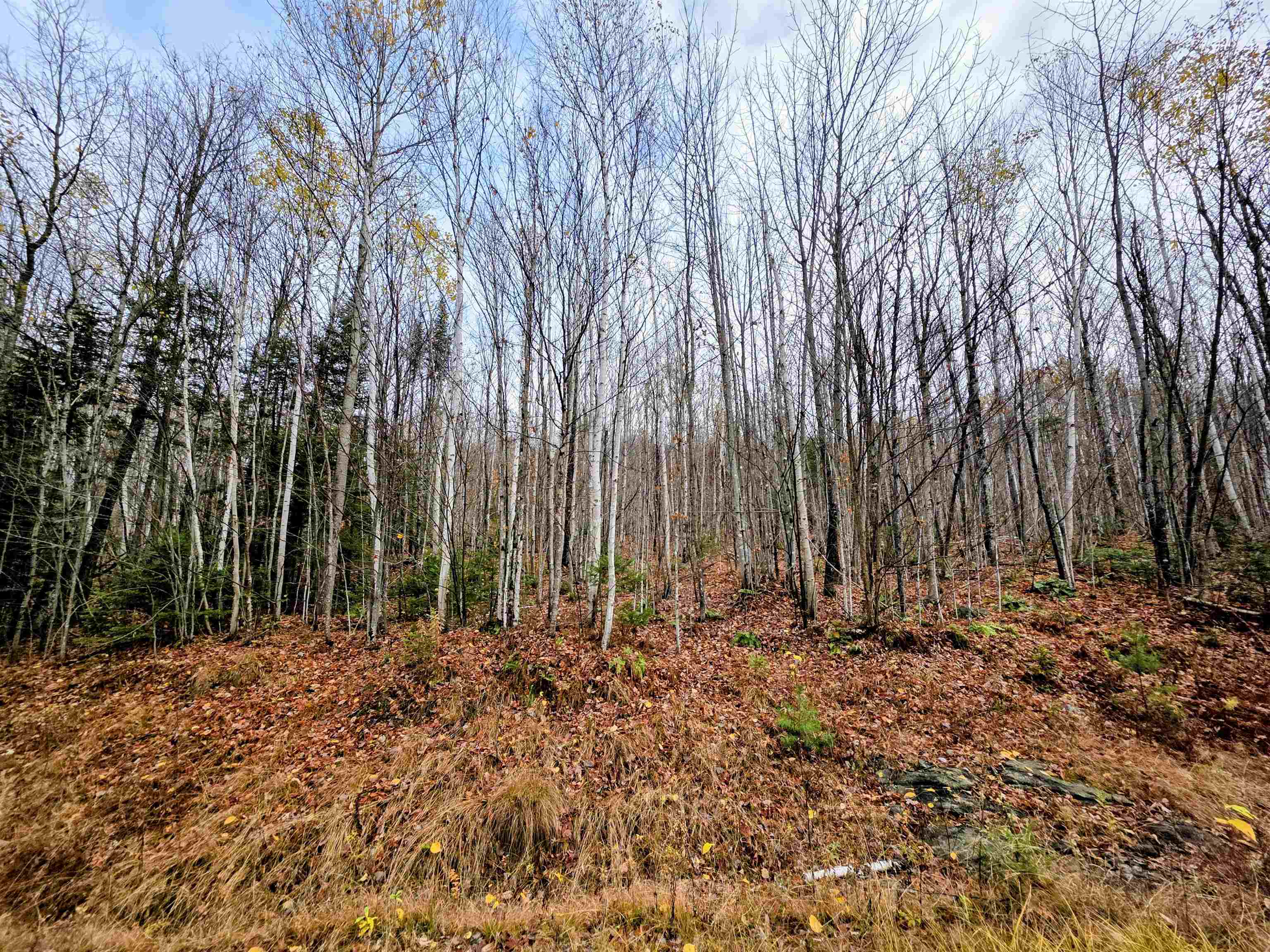 Columbia, New Hampshire 03590, United States, ,Land,Active,234585