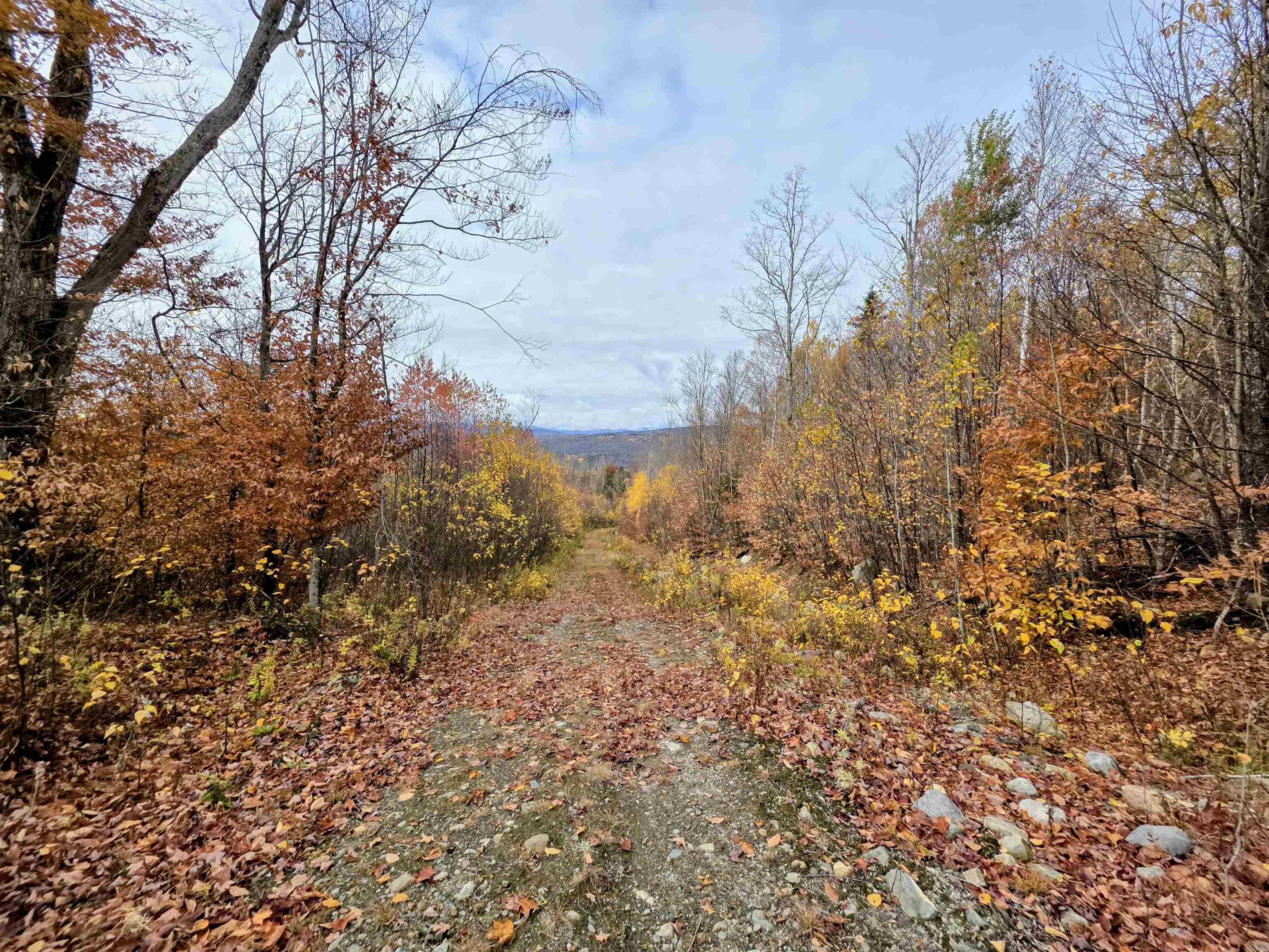 Columbia, New Hampshire 03590, United States, ,Land,Active,234585