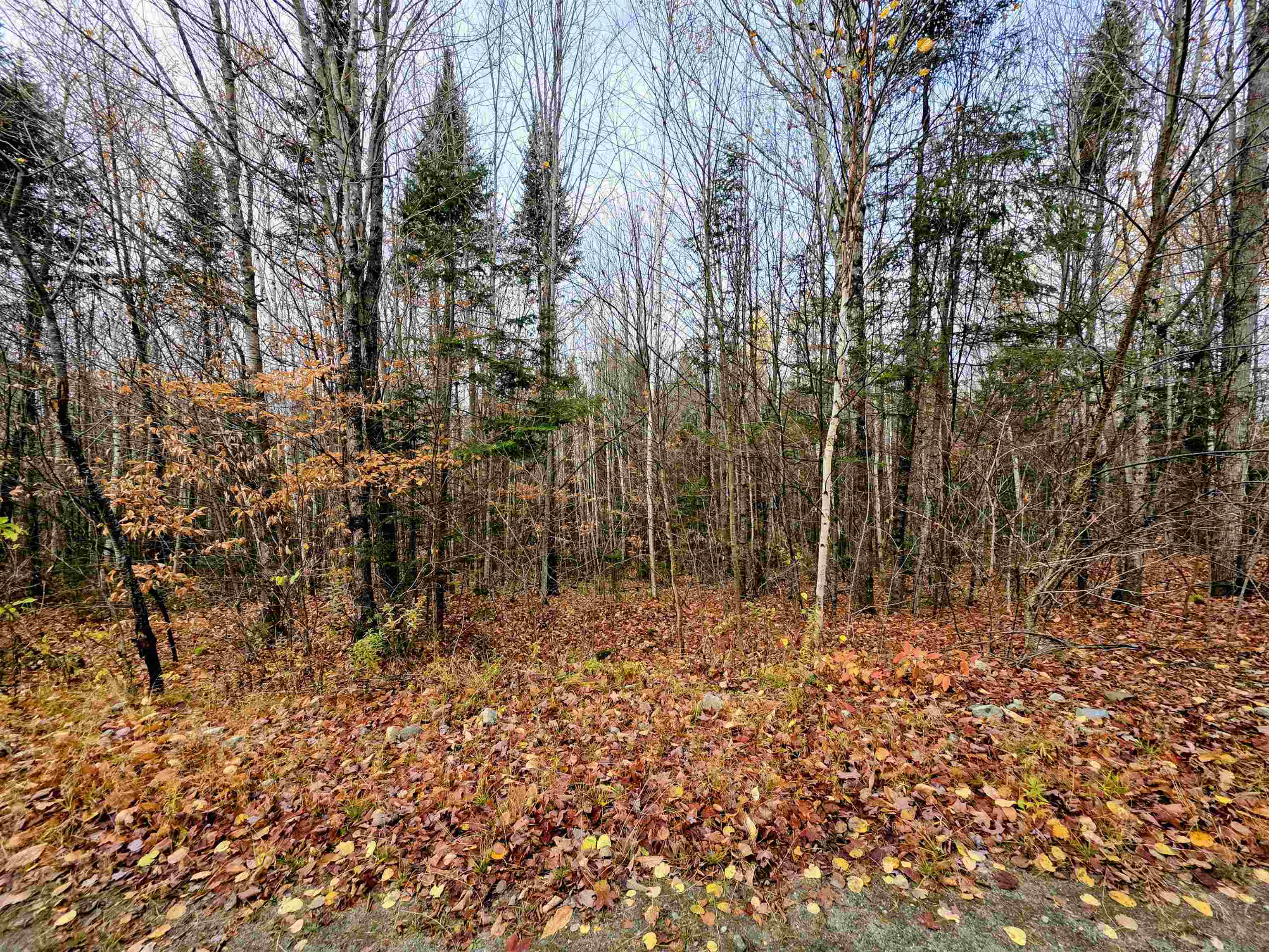 Columbia, New Hampshire 03590, United States, ,Land,Active,234585