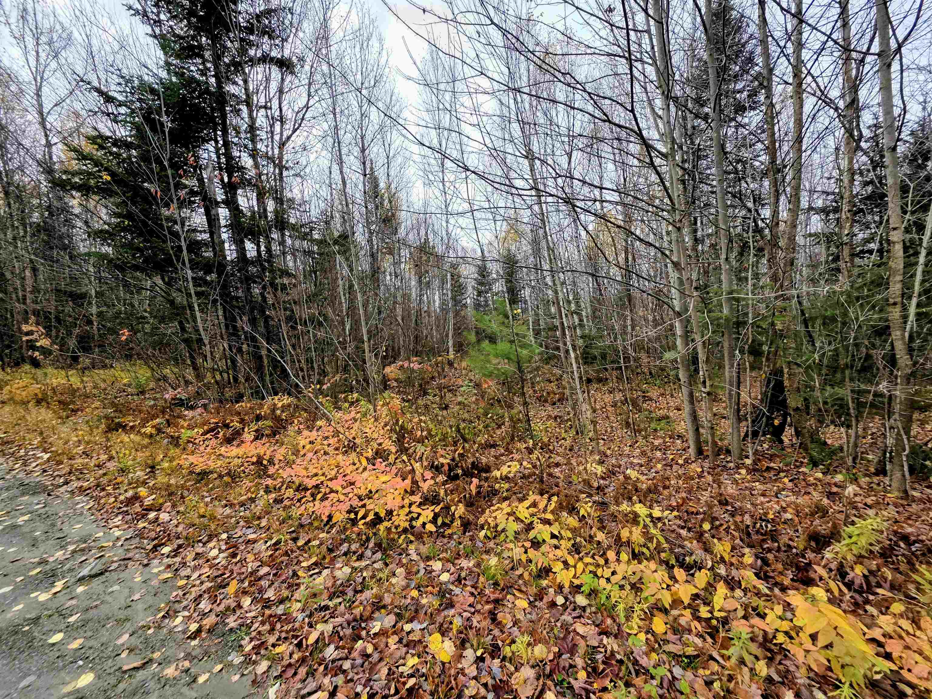 Columbia, New Hampshire 03590, United States, ,Land,Active,234585