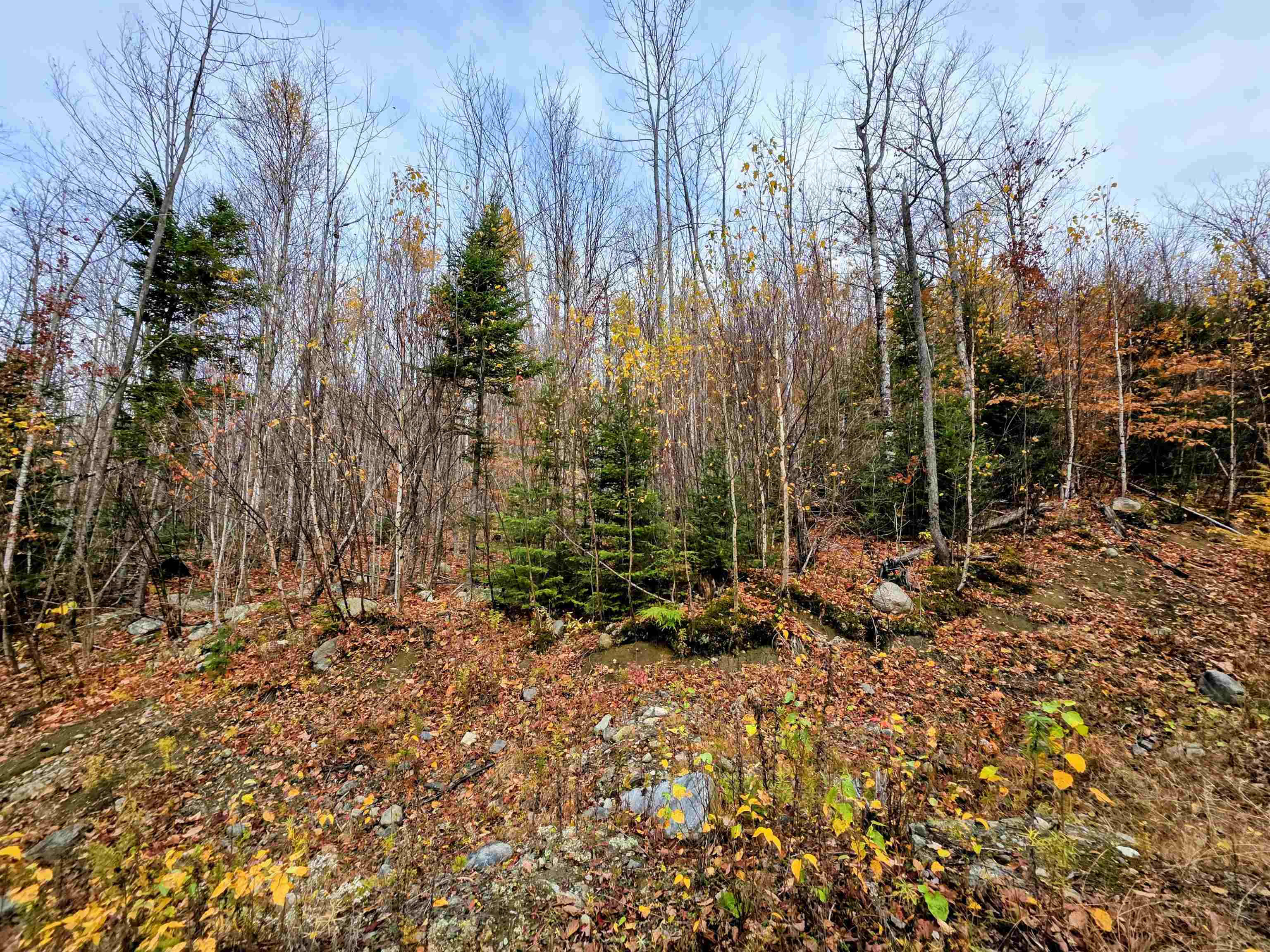 Columbia, New Hampshire 03590, United States, ,Land,Active,234585