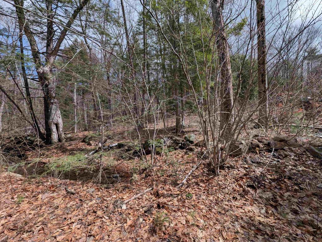 Photo of 4121 Jewett Road, Weare, NH 03281 (MLS # 5085879)