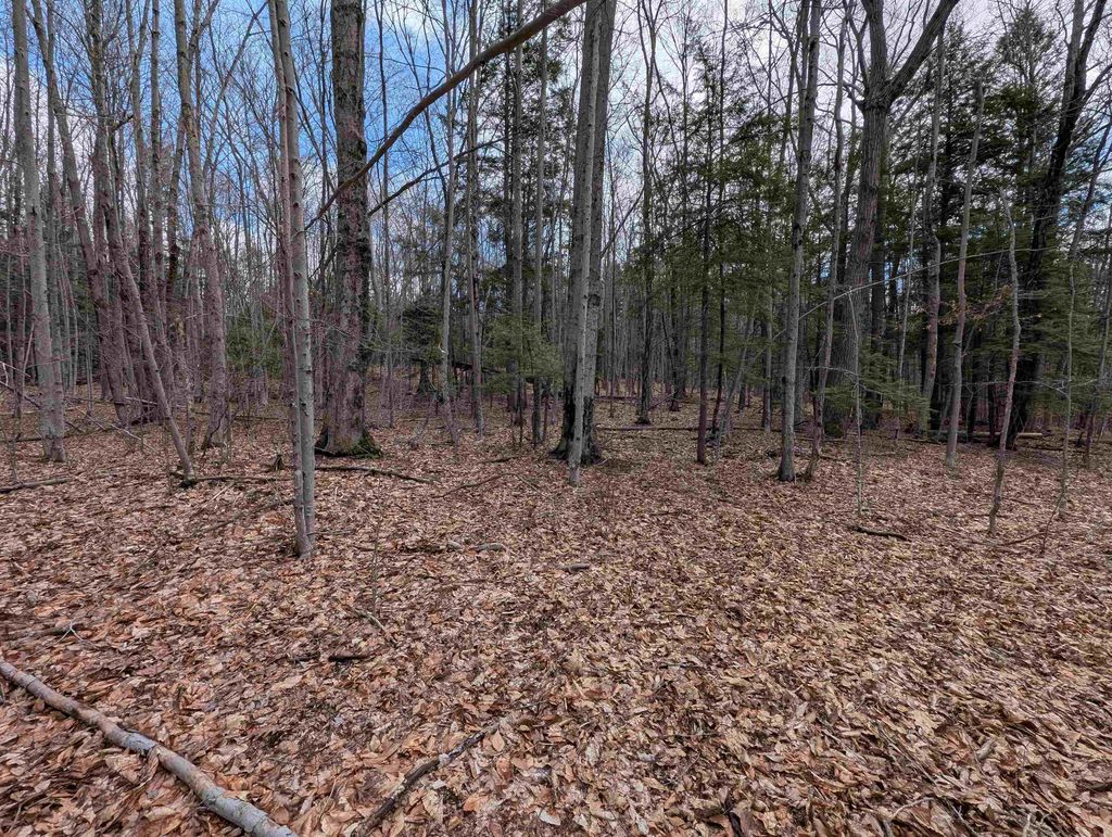 Photo of 4121 Jewett Road, Weare, NH 03281 (MLS # 5085879)