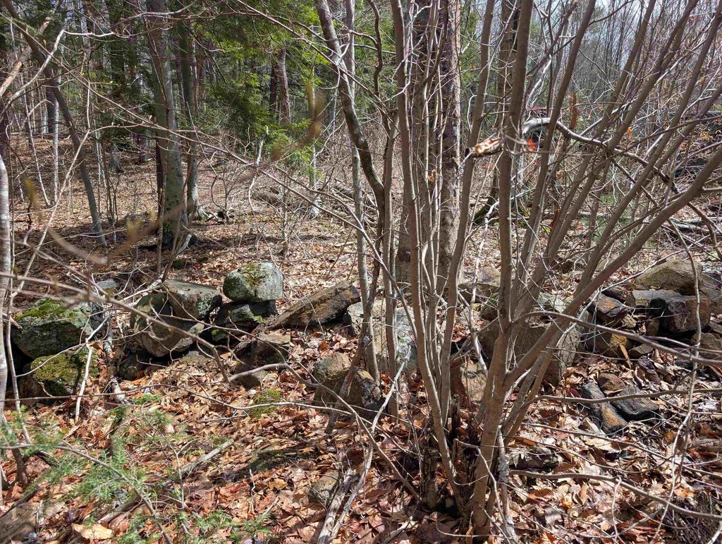 Photo of 4121 Jewett Road, Weare, NH 03281 (MLS # 5085879)