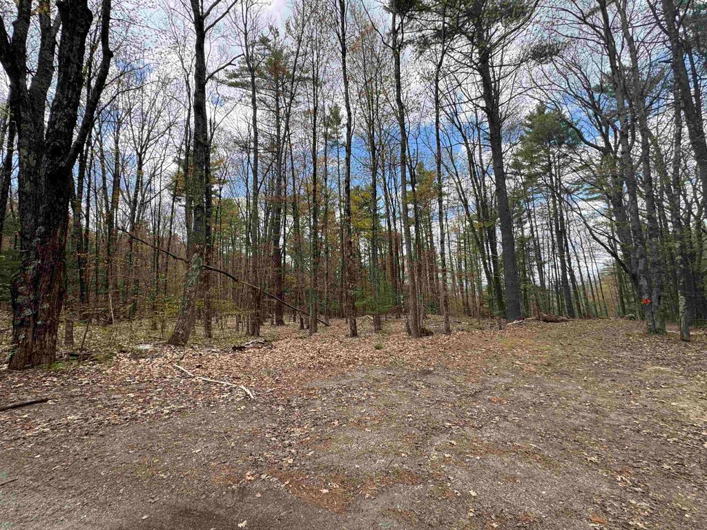 Photo of 00 Esty Road, Westmoreland, NH 03467 (MLS # 5090011)