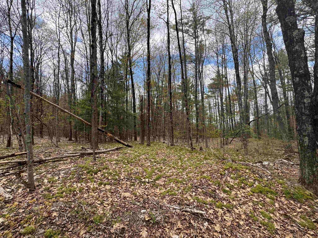 Photo of 00 Esty Road, Westmoreland, NH 03467 (MLS # 5090011)
