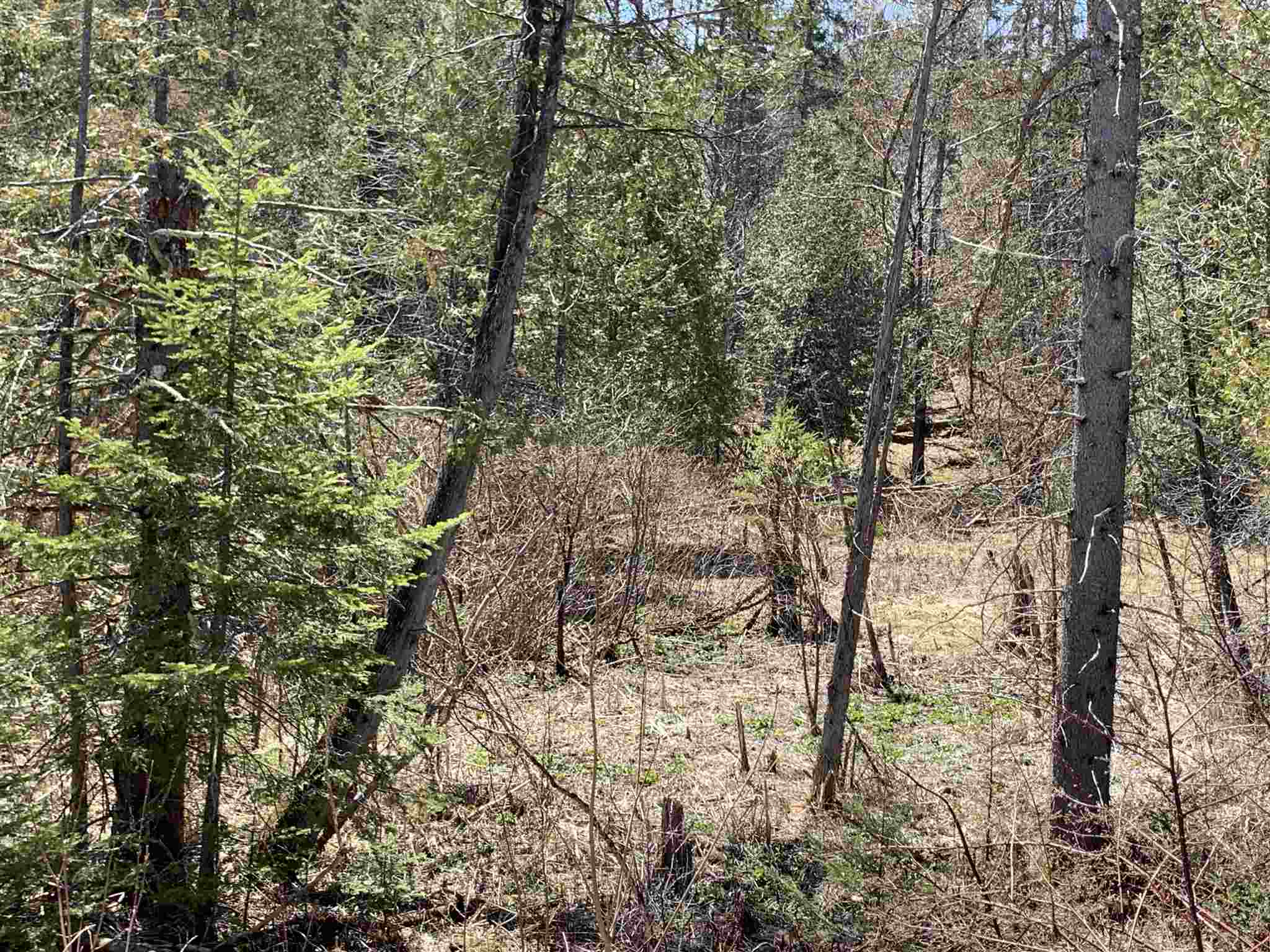 00 East Darling Hill Road Lot #2