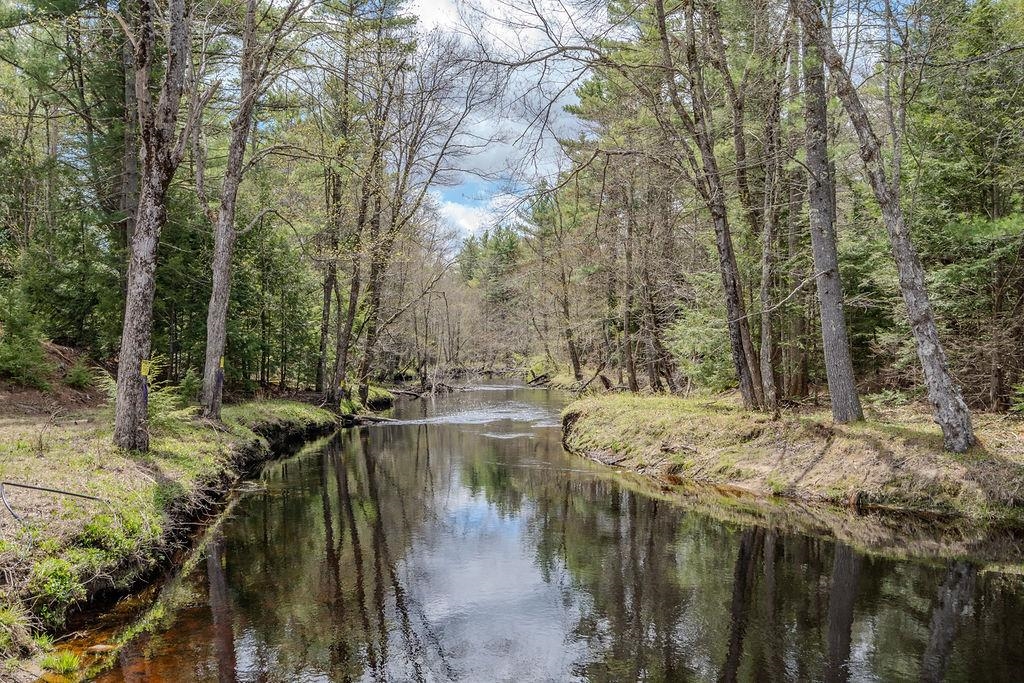 Map 9 Lot 2 Beech Ridge Road