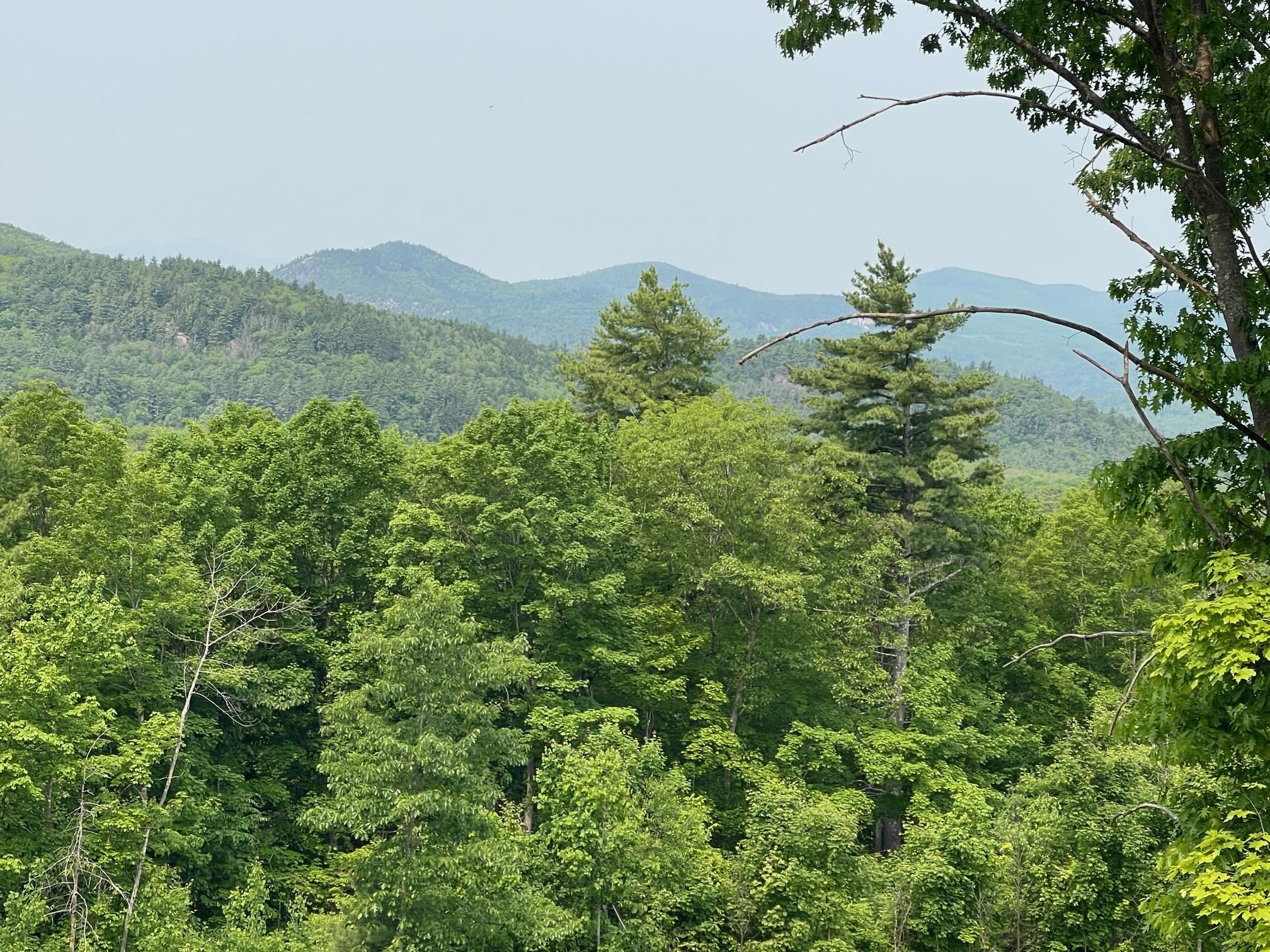 48 Merriman Forest Road
